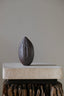 ARCHAEOLOGICAL SEED OLIVE