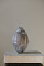 ARCHAEOLOGICAL SEED BARLEY
