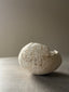 UNTITLED VESSEL 01