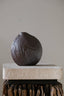 ARCHAEOLOGICAL SEED LENTIL