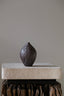 ARCHAEOLOGICAL SEED WILD CHERRY