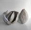 ARCHAEOLOGICAL SEED BARLEY 2