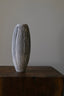 RICE MINERALIZED SEED