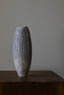 RICE MINERALIZED SEED