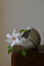 BOTANE NO.30 MINERALIZED FLOWER