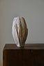 RICE MINERALIZED SHELL
