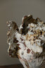Krater II