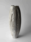 RICE MINERALIZED SEED